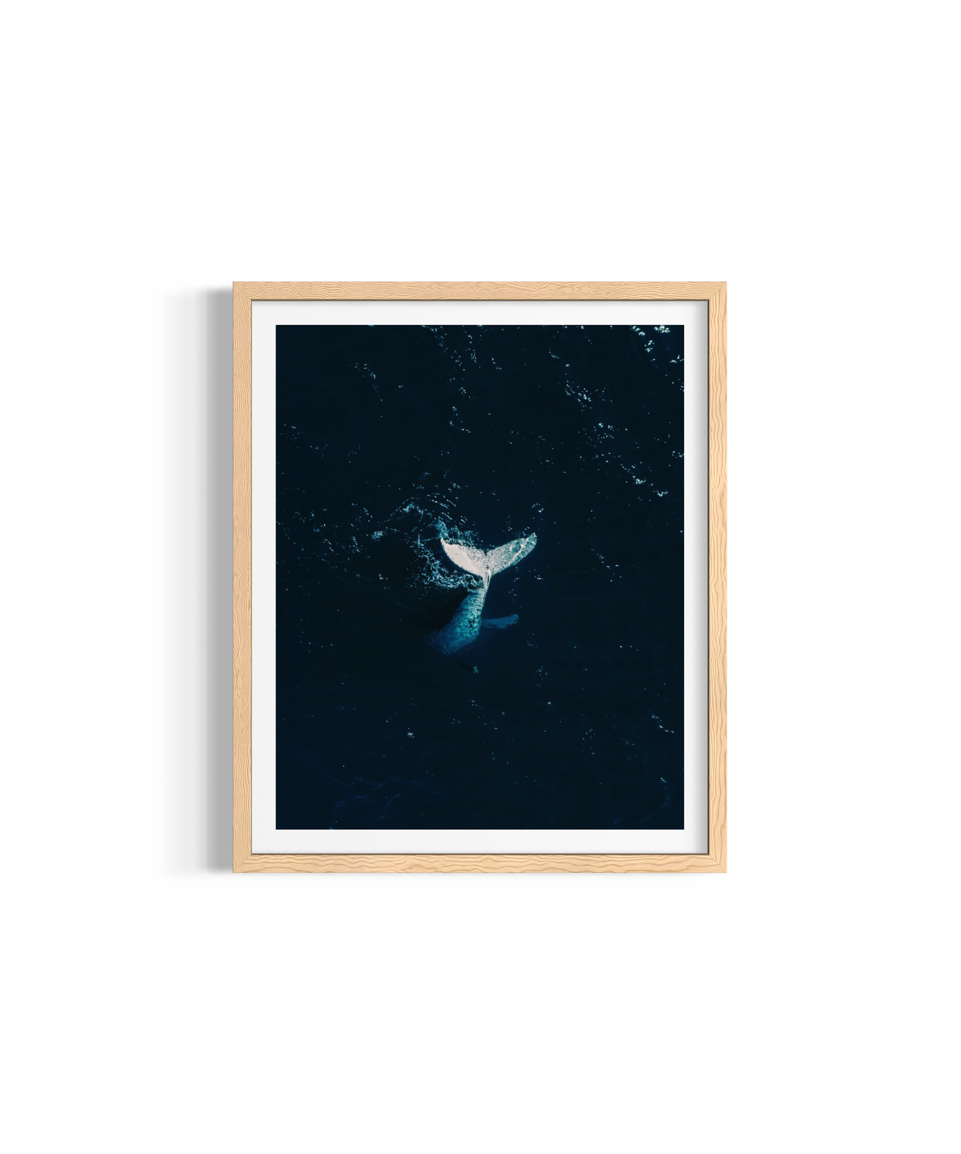 Whale Tail