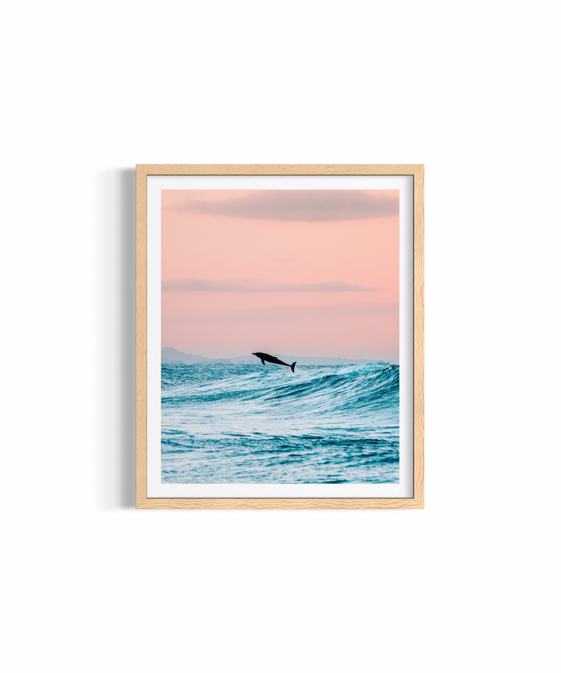 Dolphin Jump ~ Byron Bay