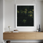 Palm Dreaming framed print — fine art nature photography by Saxon Kent, Byron Bay hinterland