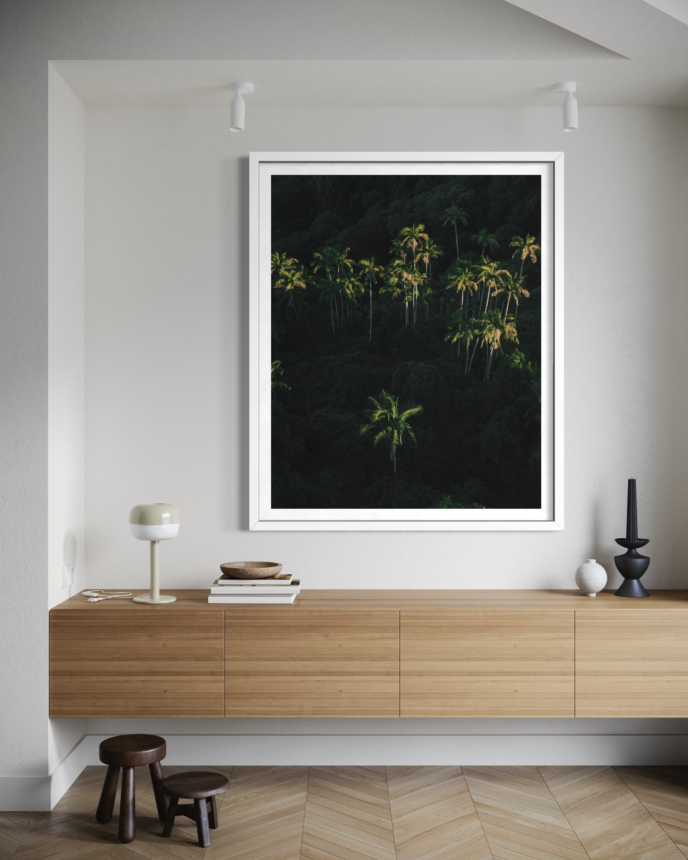 Palm Dreaming framed print — fine art nature photography by Saxon Kent, Byron Bay hinterland