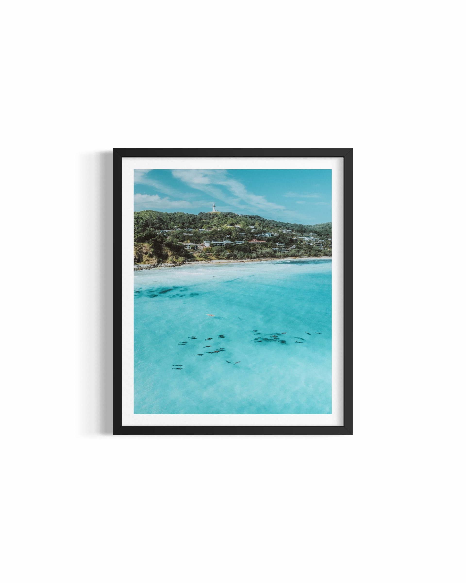 Aerial view of dolphins gliding past a surfer near Cape Byron Lighthouse at Wategos Beach — Wategos Dolphins by Saxon Kent