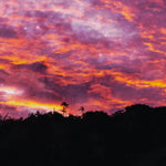 Sunset Bliss — fine art nature print by Saxon Kent, Byron Bay hinterland coastal wall art