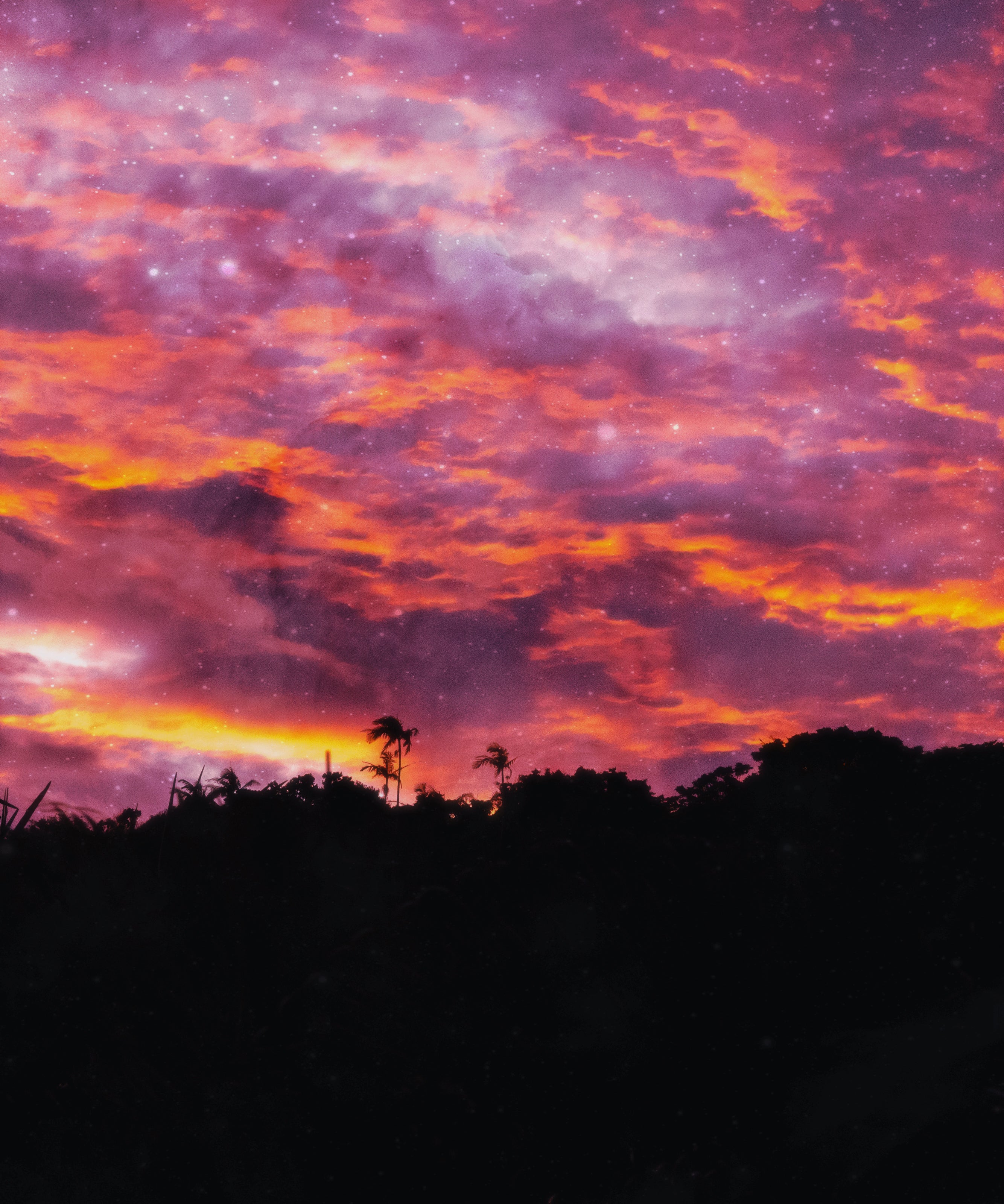 Sunset Bliss — fine art nature print by Saxon Kent, Byron Bay hinterland coastal wall art