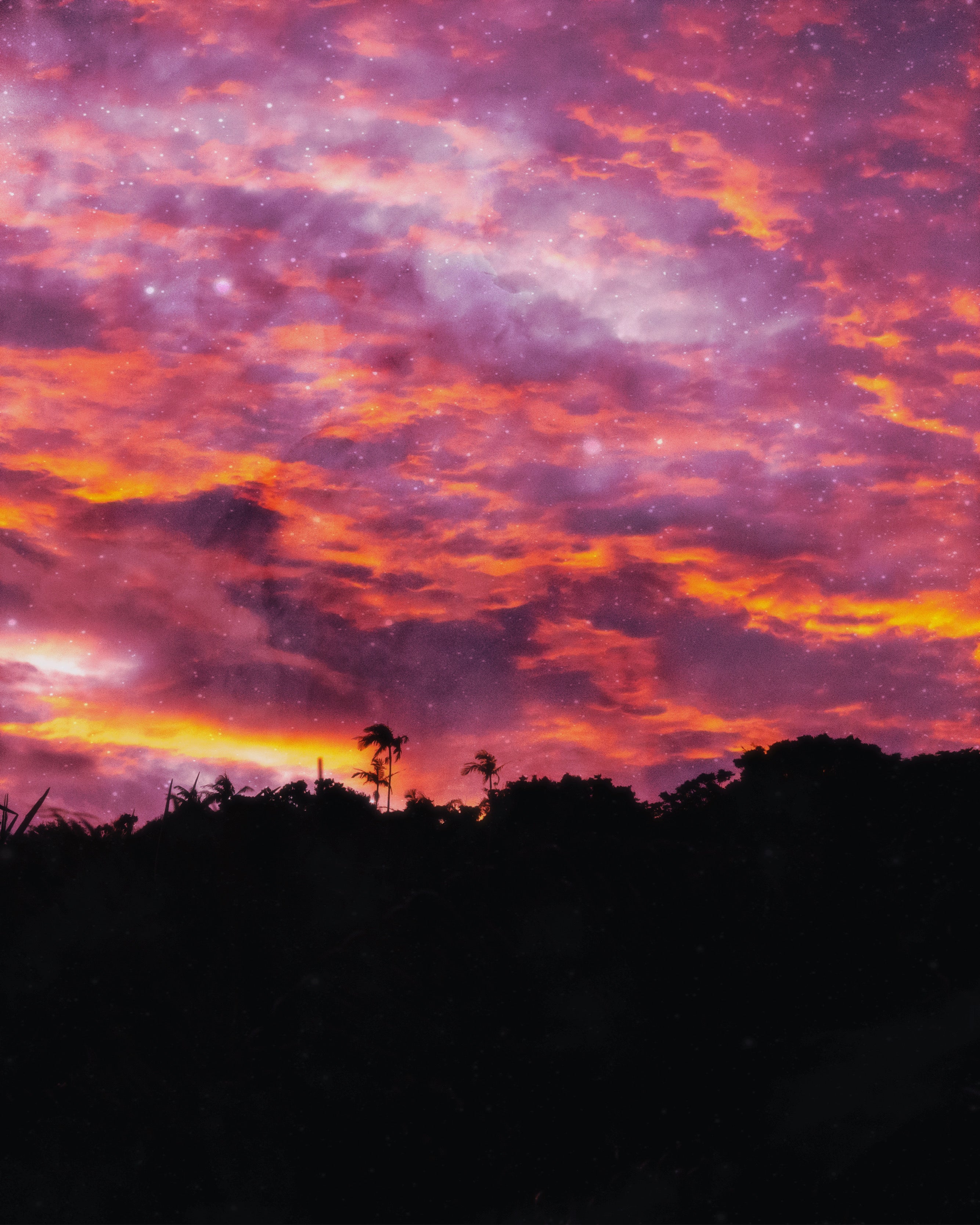 Sunset Bliss — fine art nature print by Saxon Kent, Byron Bay hinterland coastal wall art