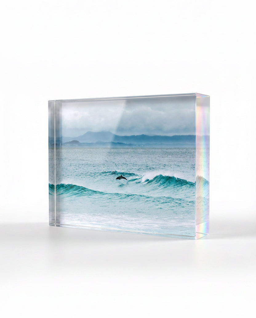 Diving Dolphin acrylic block — fine art dolphin photography by Saxon Kent, Wategos Beach Byron Bay