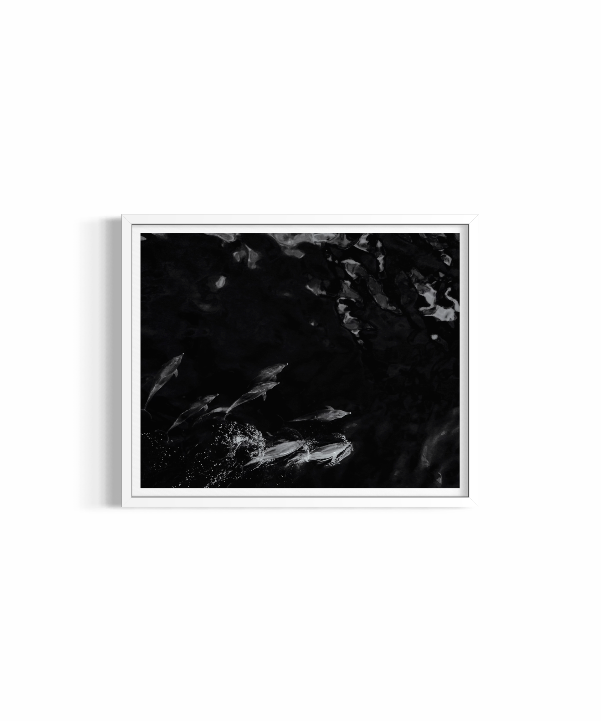 Camouflage rolled print — dolphin photography wall art by Saxon Kent, Wategos Beach Byron Bay