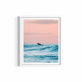 Dolphin Jump ~ Byron Bay