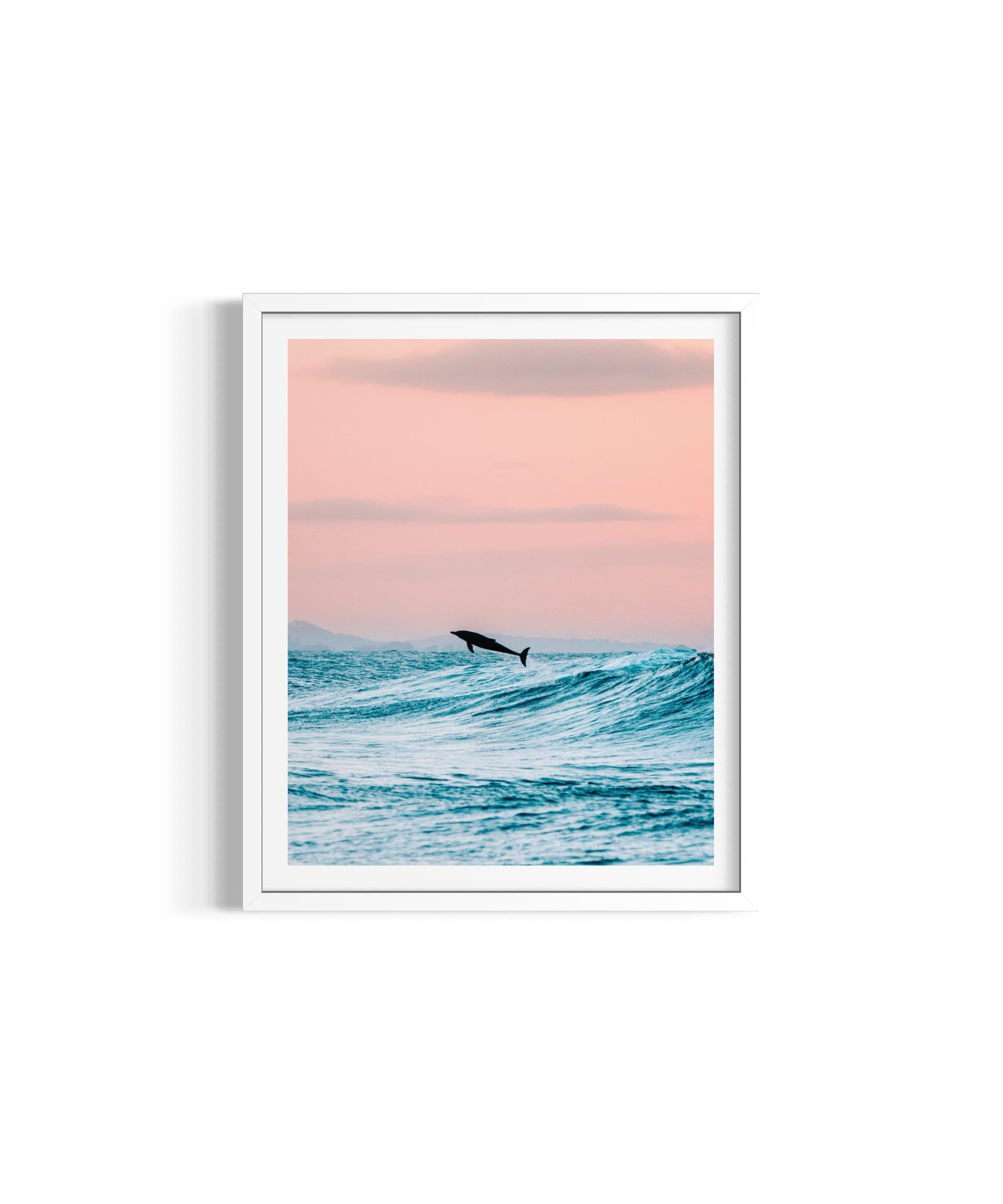 Dolphin Jump ~ Byron Bay