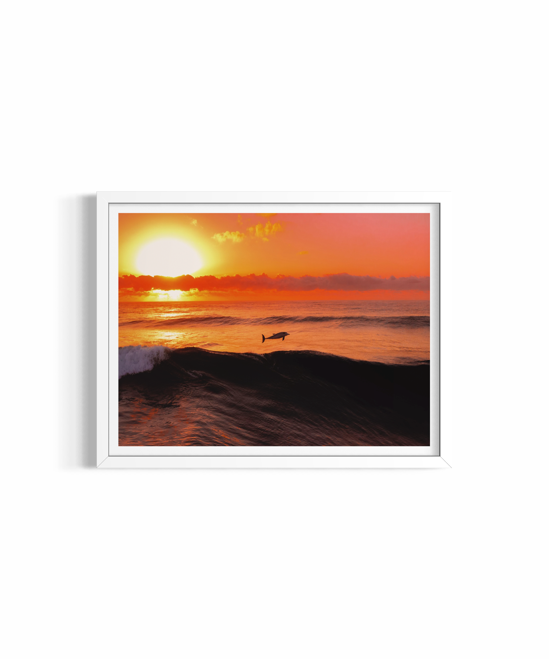 A New Day — fine art marine wildlife photography by Saxon Kent, Tallow Beach Byron Bay coastal wall art