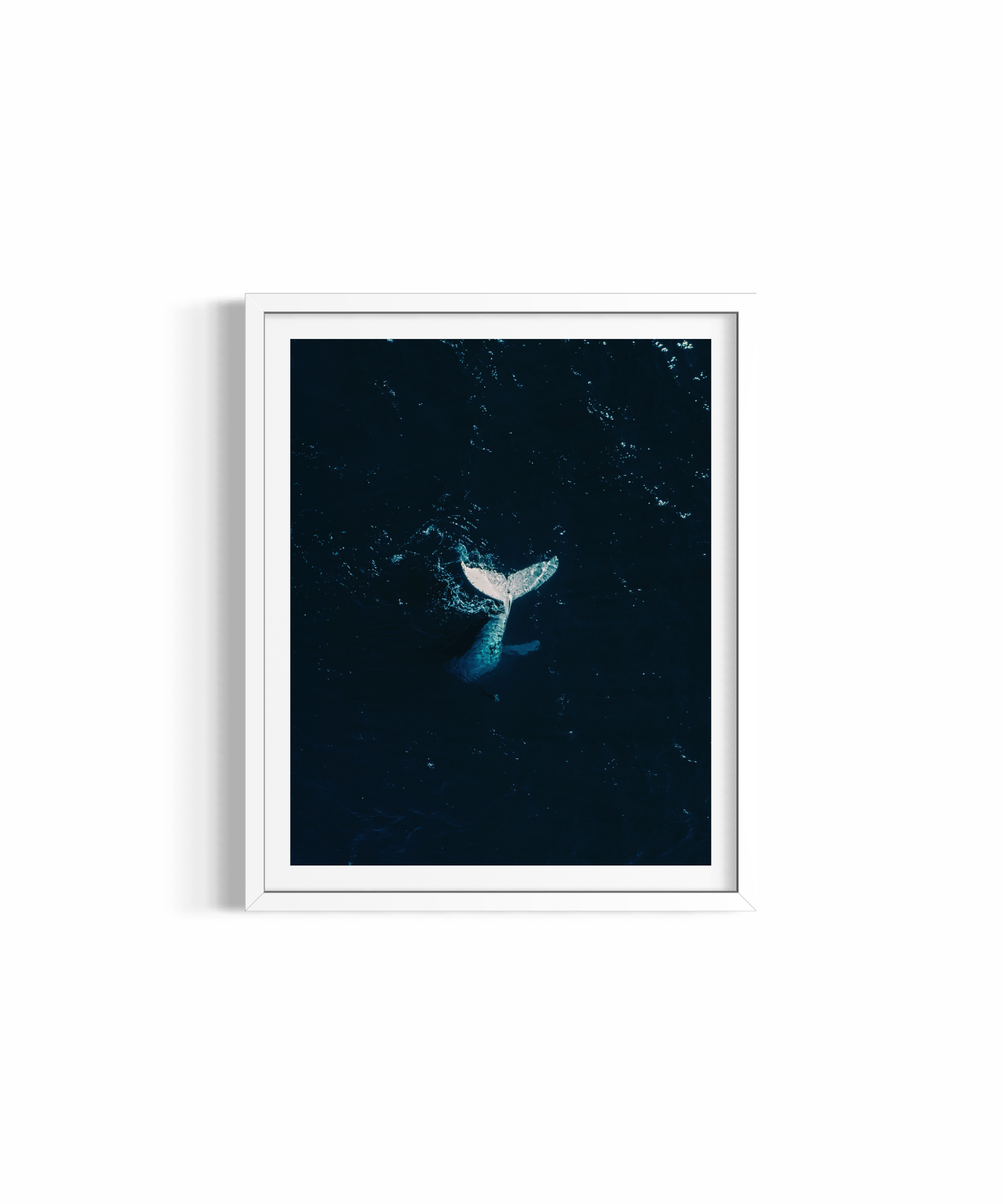 Whale Tail