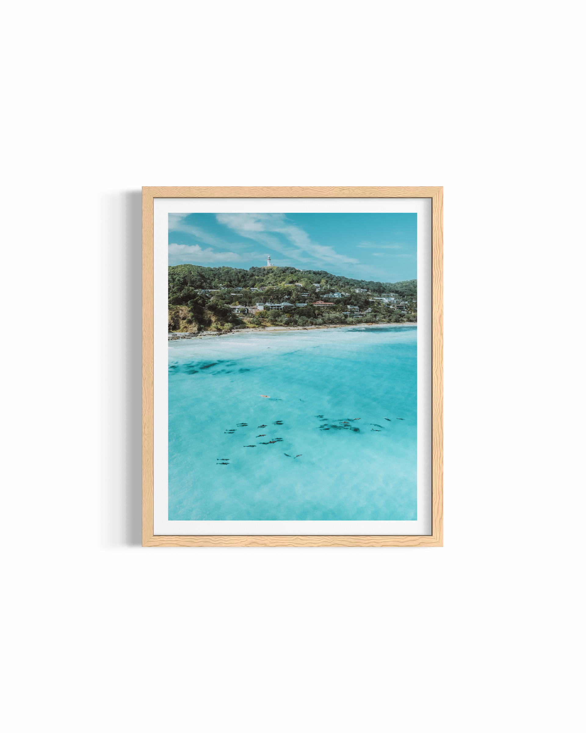 Wategos Dolphins — fine art marine wildlife photography by Saxon Kent, Wategos Beach Byron Bay coastal wall art