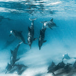 Deep Diving — fine art ocean print by Saxon Kent, Wategos Beach Byron Bay underwater photography