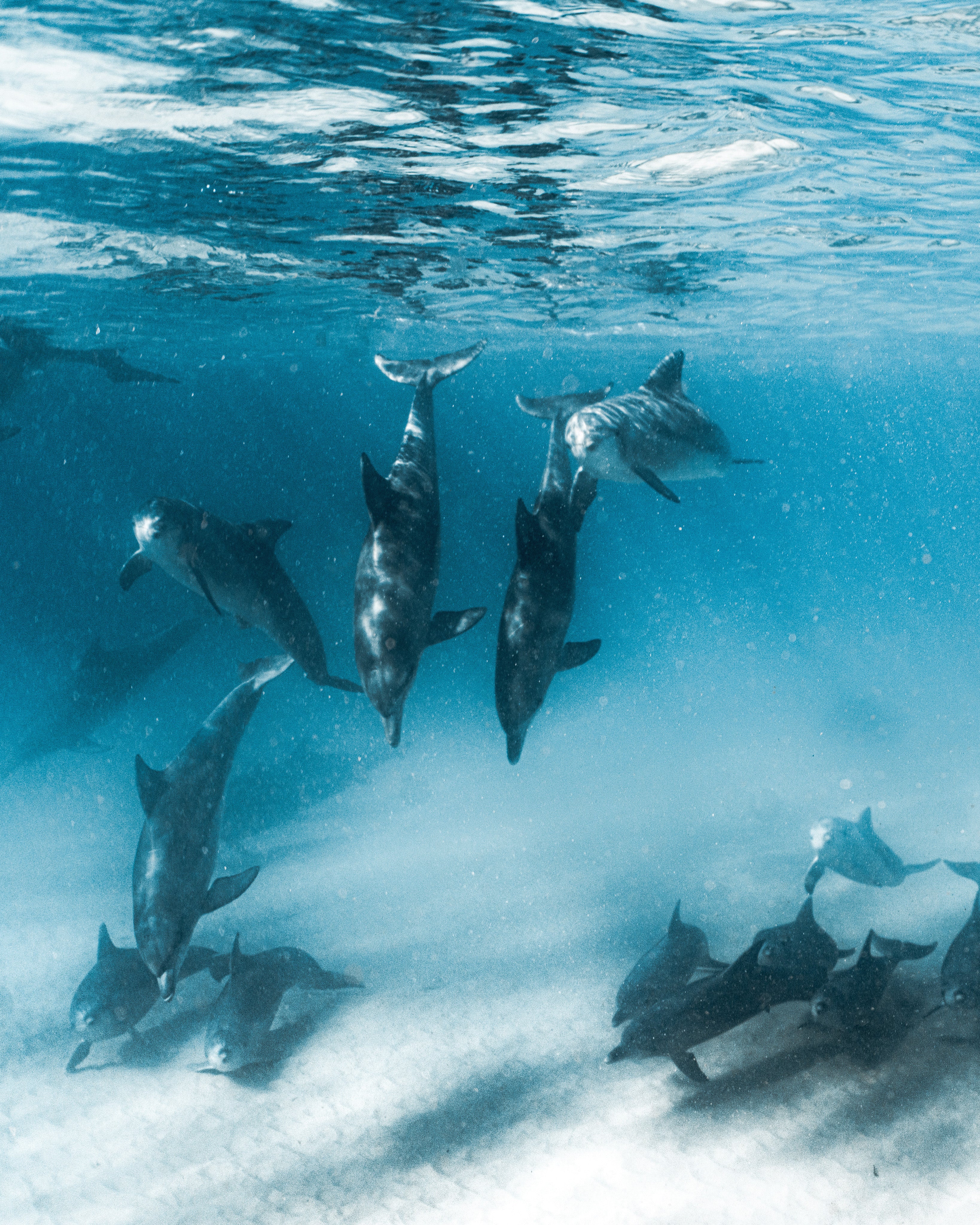 Deep Diving — fine art ocean print by Saxon Kent, Wategos Beach Byron Bay underwater photography