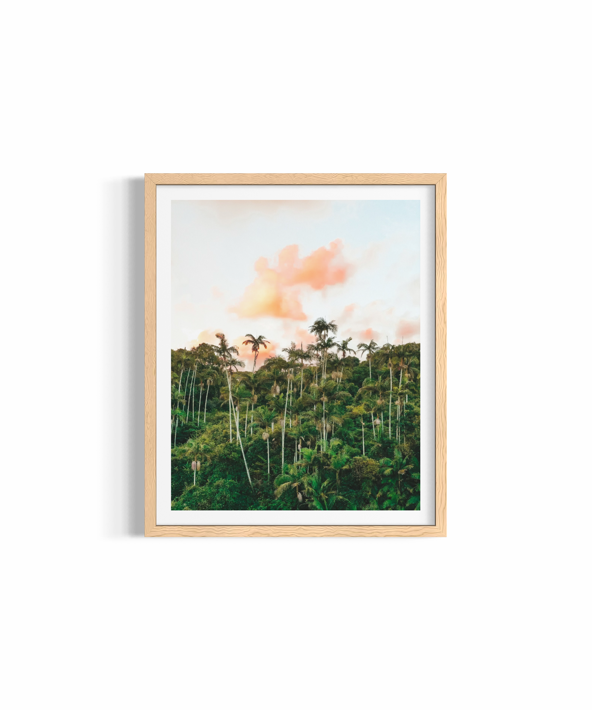 Palm Heaven — fine art tropical photography by Saxon Kent, Byron Bay hinterland coastal wall art