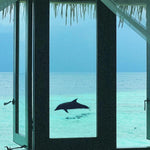 Window to Heaven — fine art ocean print by Saxon Kent, Maldives dolphin photography coastal wall art