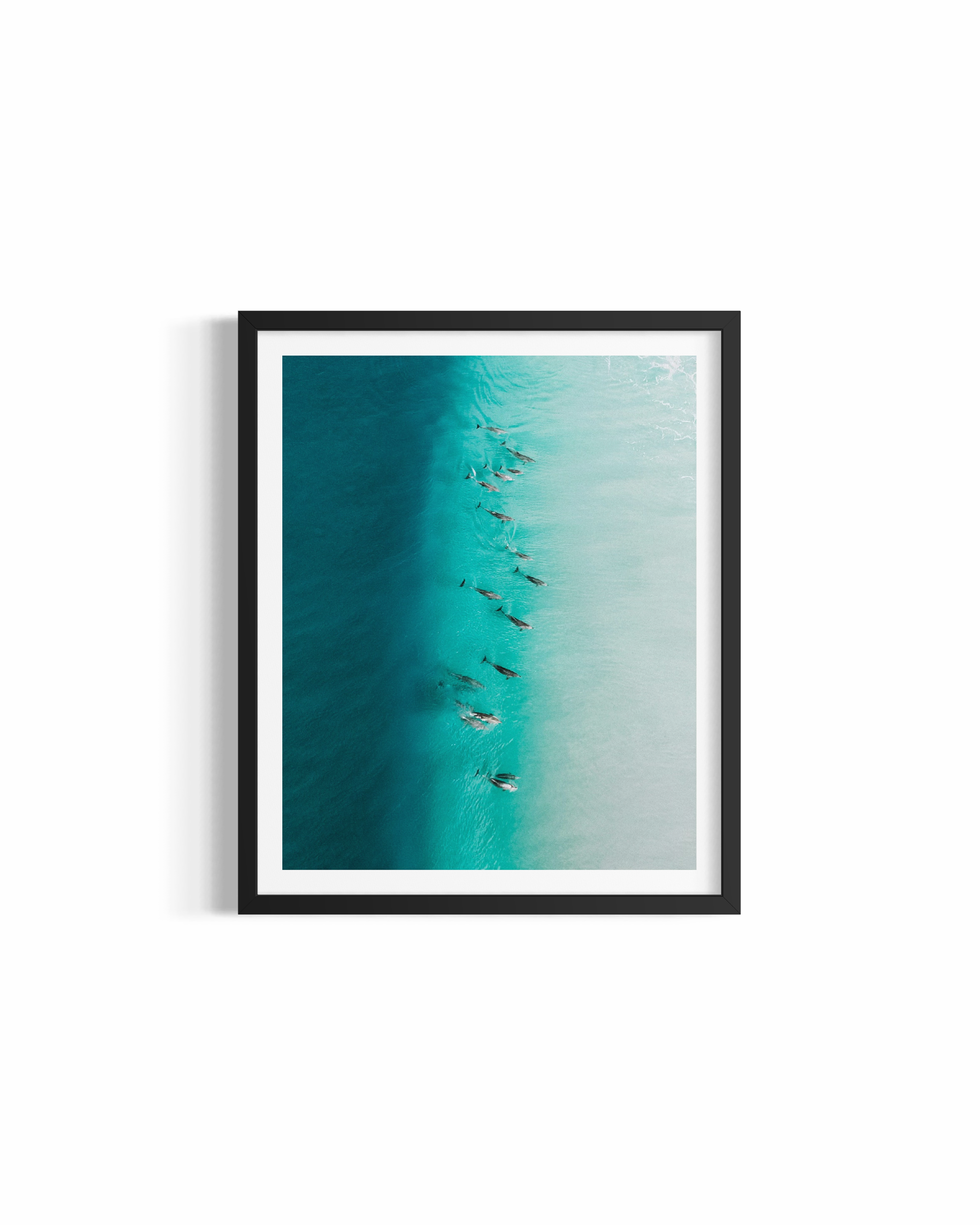 A dozen dolphins surfing through a turquoise wave at Wategos Beach — Party Wave fine art print by Saxon Kent