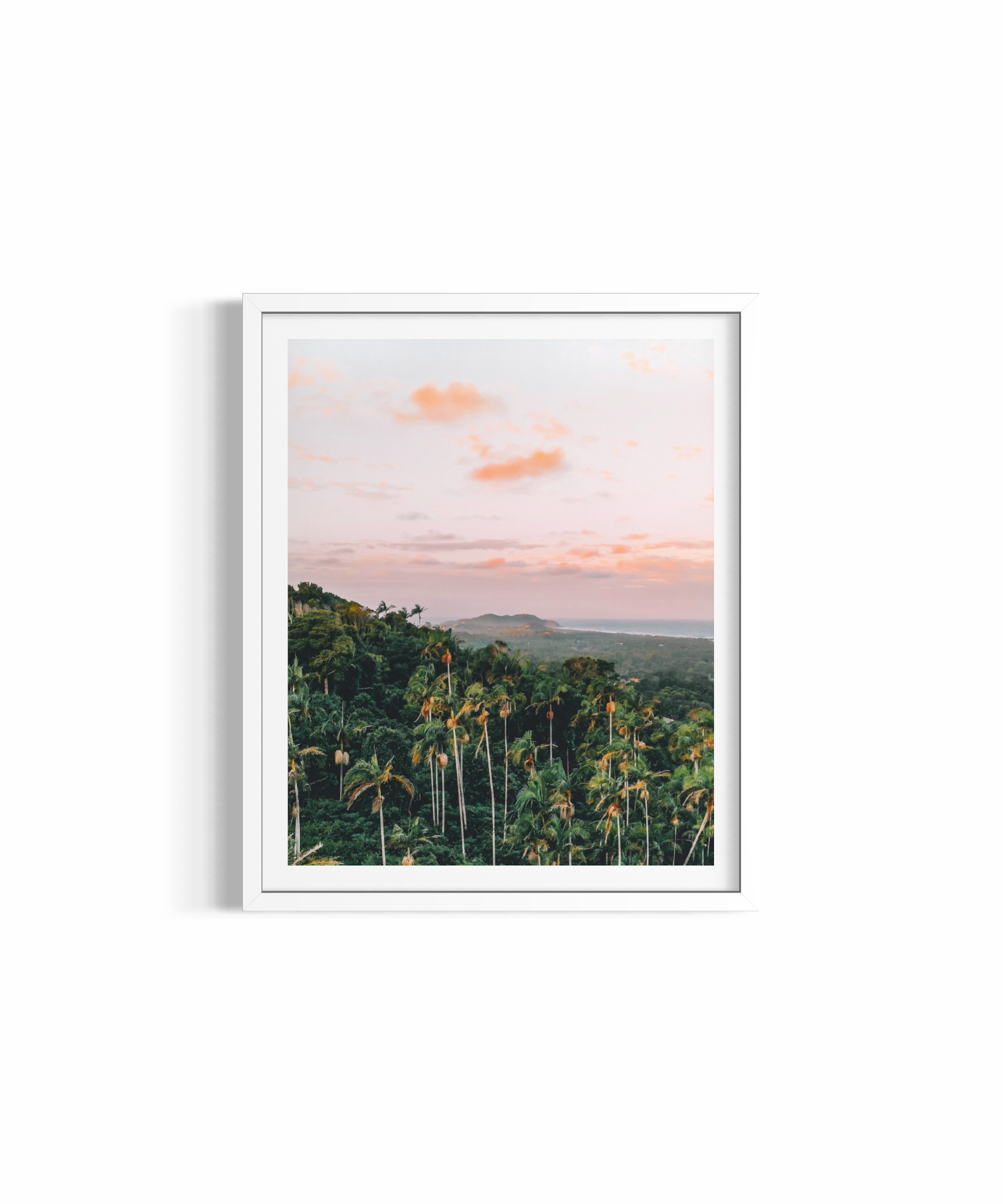 TROPICS MEET THE SEA ~ Byron Bay