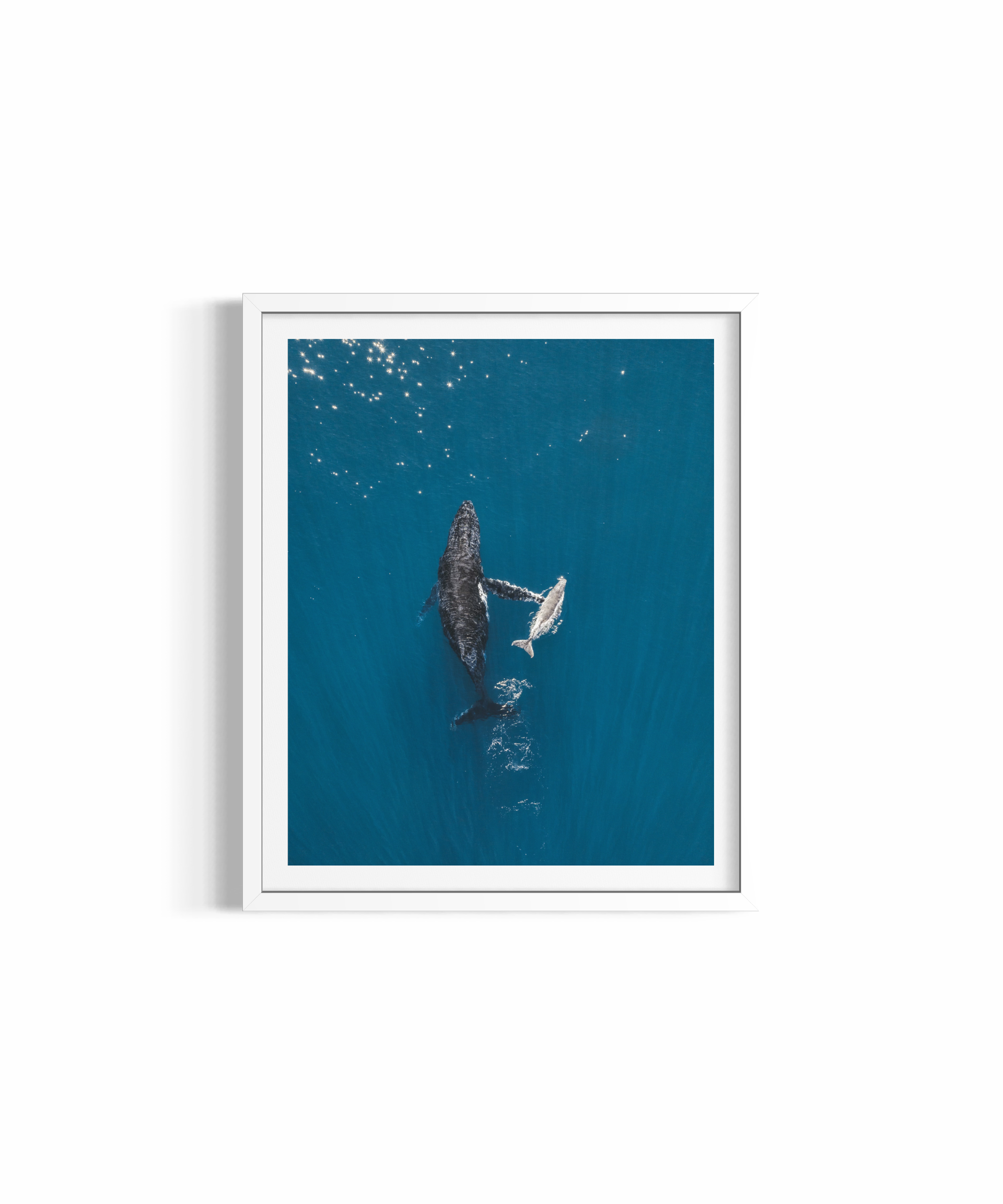 Motherly Love ~ Humpback Whales