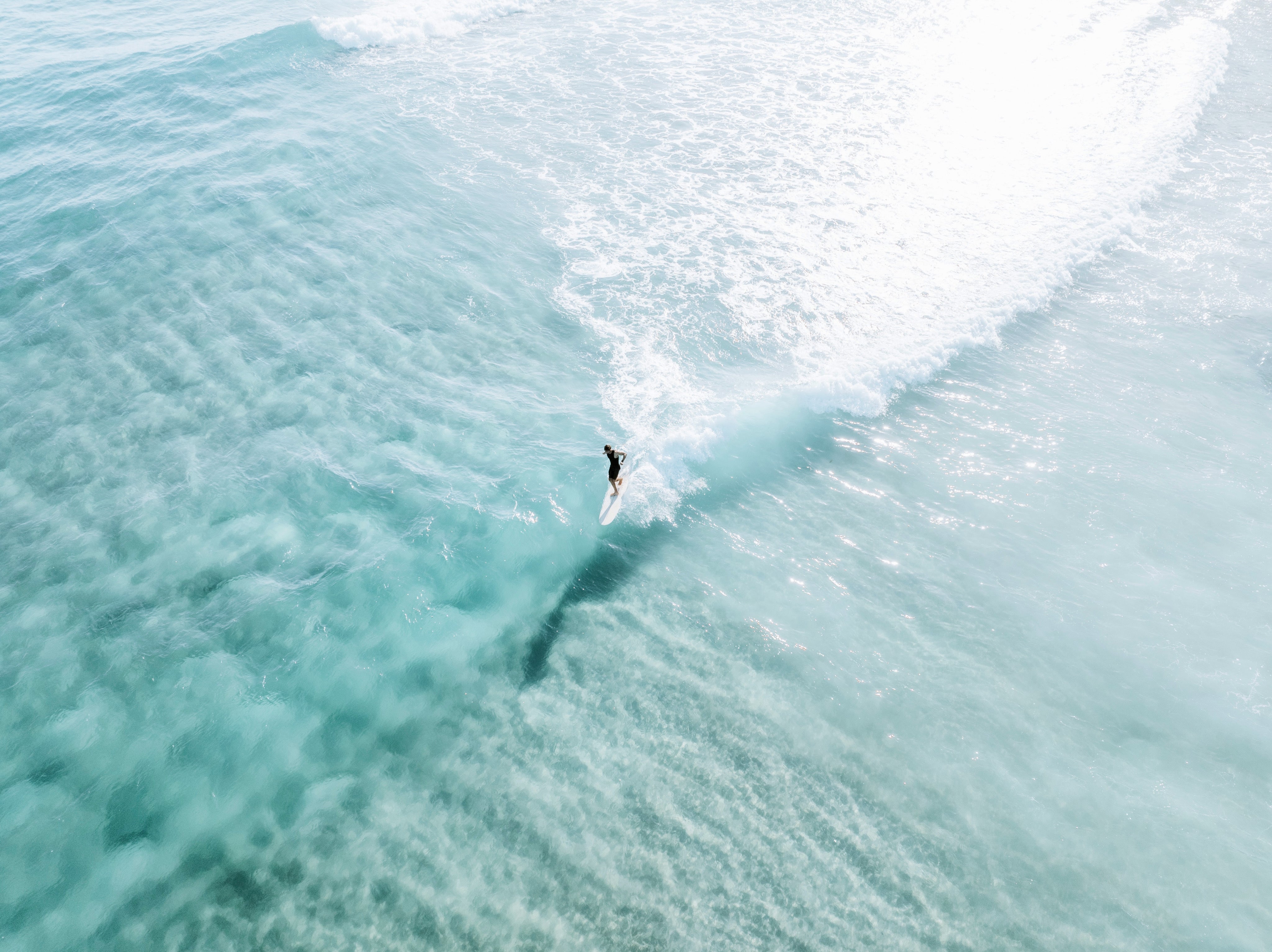 Single Fin rolled print — ocean photography wall art by Saxon Kent, Wategos Beach Byron Bay