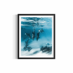 Pod of dolphins in crystal-clear water with sunlight rays at Wategos Beach — Deep Diving print by Saxon Kent