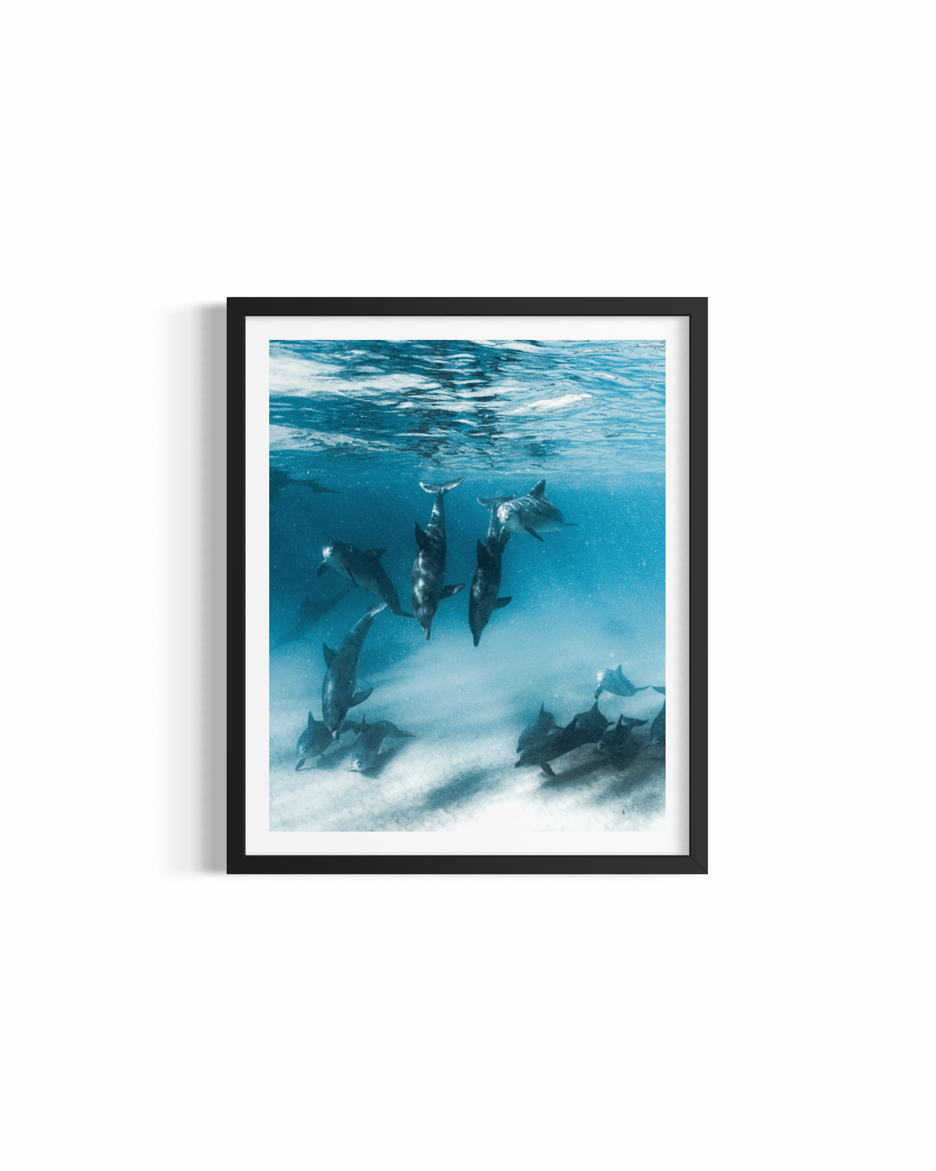 Pod of dolphins in crystal-clear water with sunlight rays at Wategos Beach — Deep Diving print by Saxon Kent