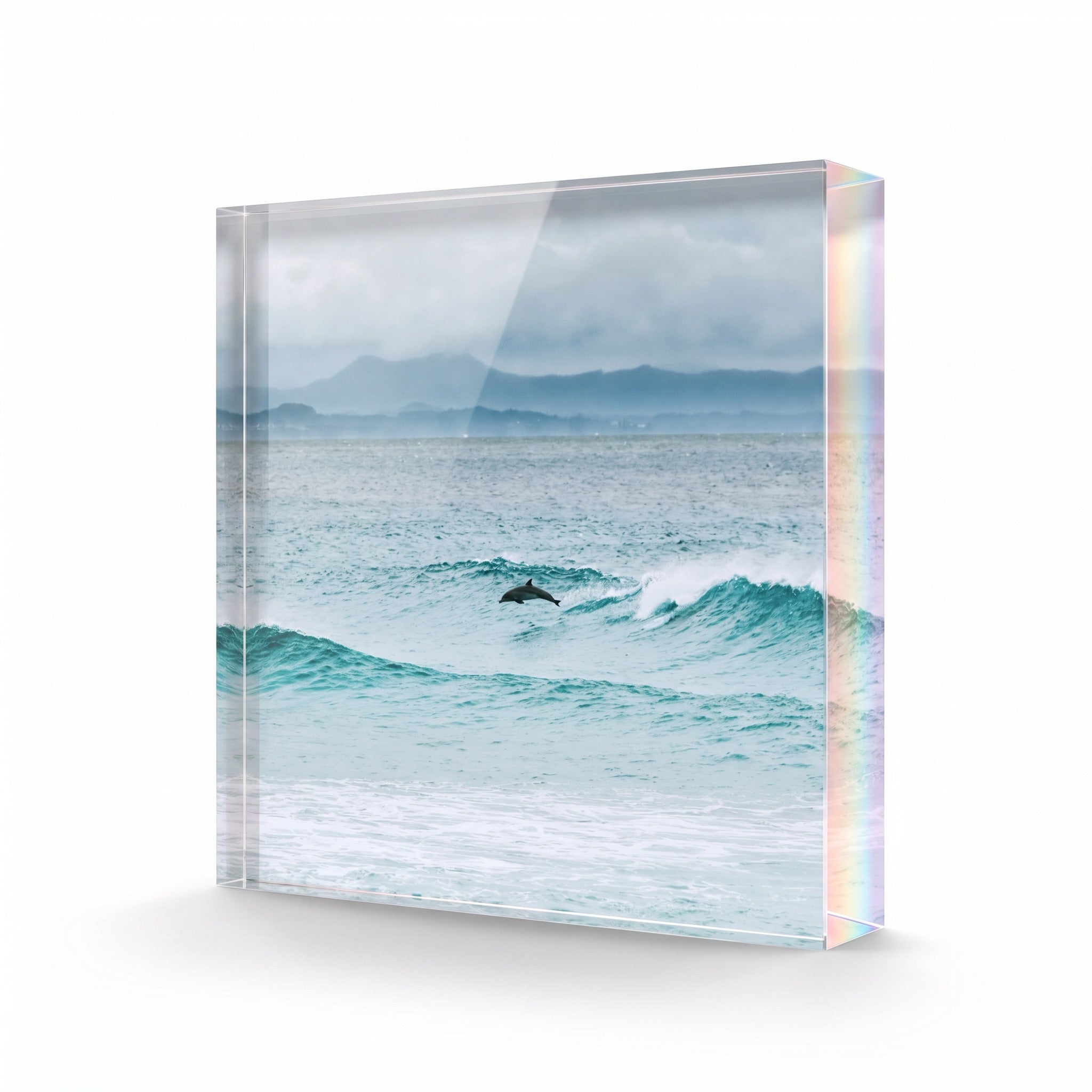 Diving Dolphin — acrylic block fine art print by Saxon Kent, Wategos Beach Byron Bay coastal wall art