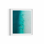 Party Wave rolled print — dolphin photography wall art by Saxon Kent, Wategos Beach Byron Bay