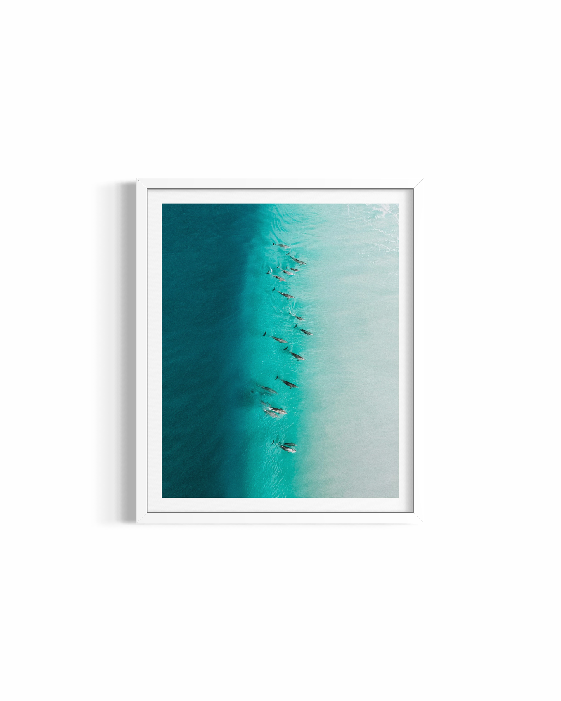 Party Wave rolled print — dolphin photography wall art by Saxon Kent, Wategos Beach Byron Bay