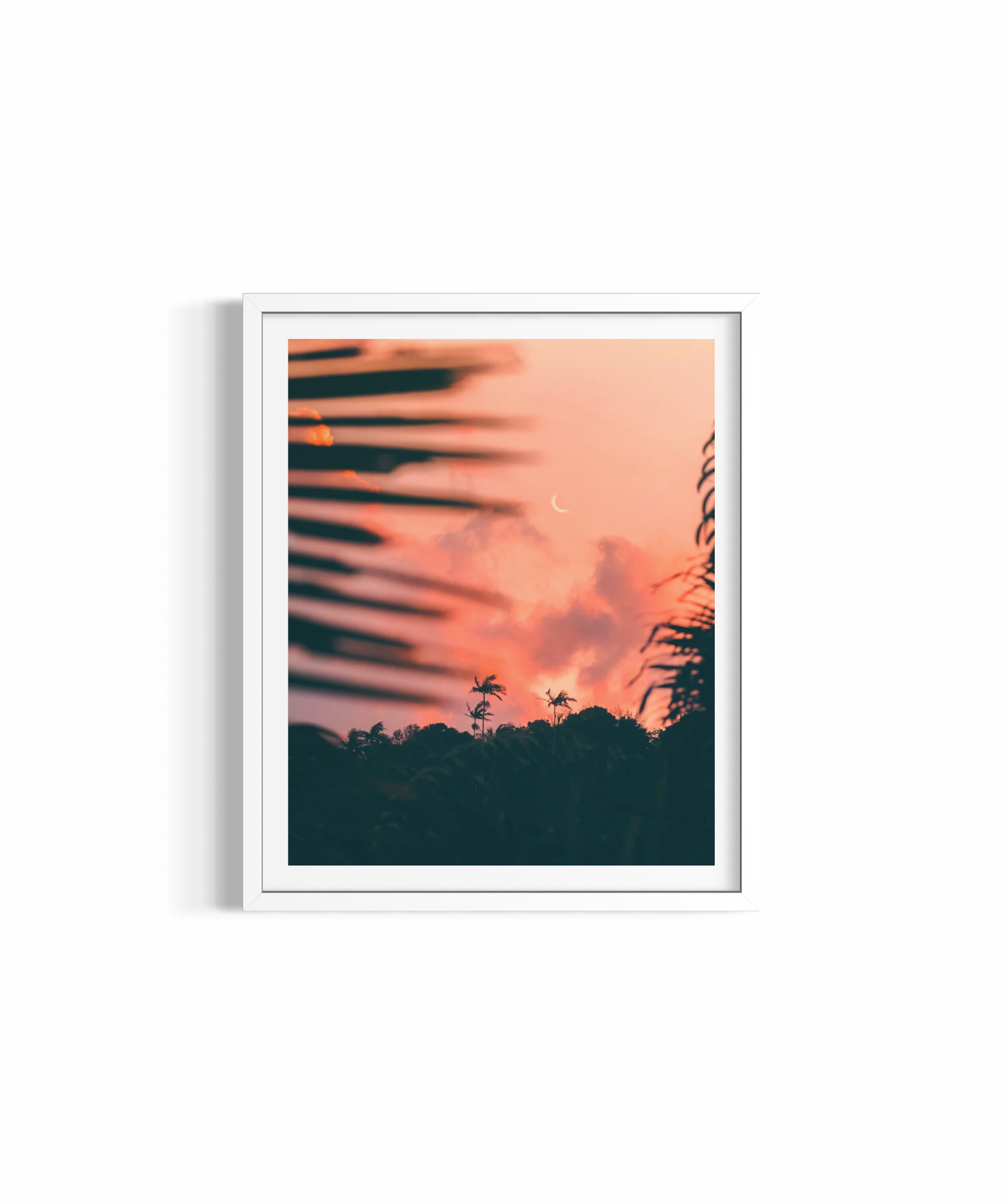 Safe Place rolled print — fine art photography wall art by Saxon Kent, Byron Bay
