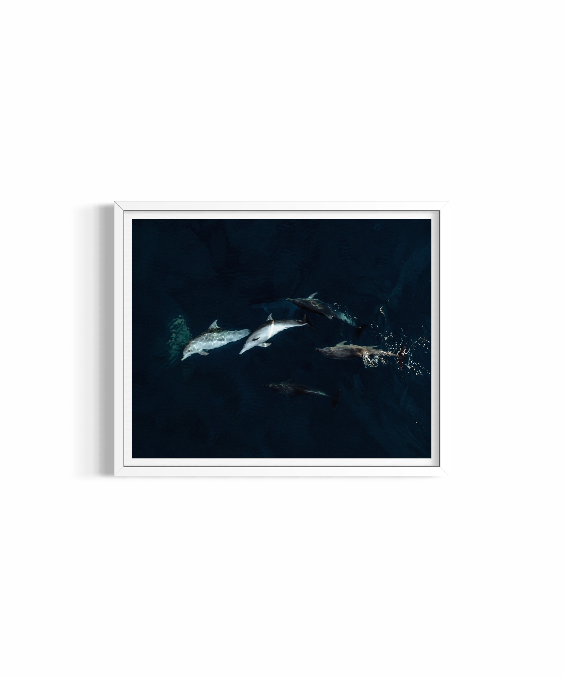 Beneath — fine art marine wildlife photography by Saxon Kent, Wategos Beach Byron Bay coastal wall art