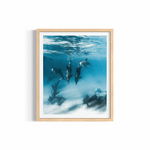 Deep Diving — fine art dolphin photography by Saxon Kent, Wategos Beach Byron Bay coastal wall art