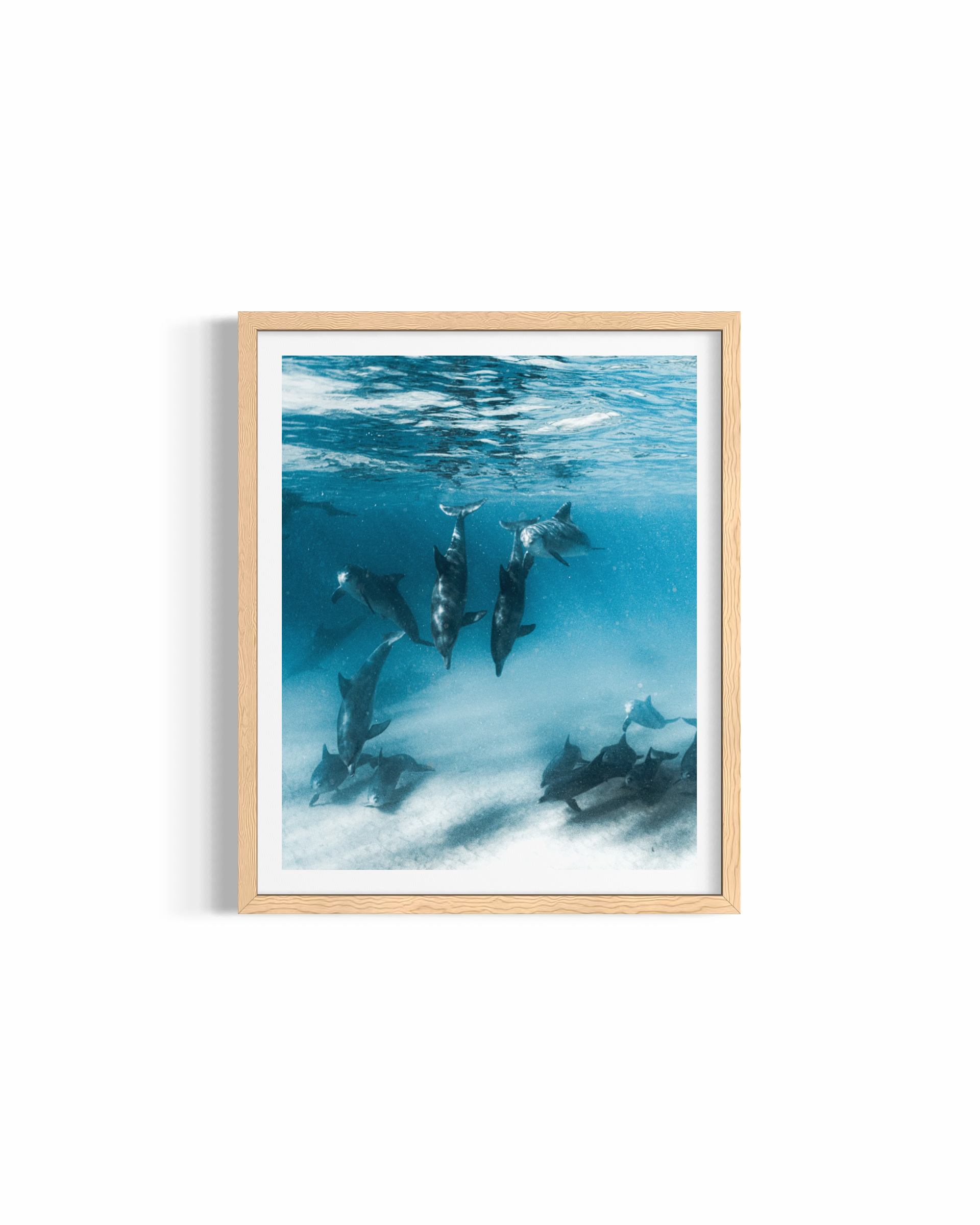 Deep Diving — fine art dolphin photography by Saxon Kent, Wategos Beach Byron Bay coastal wall art