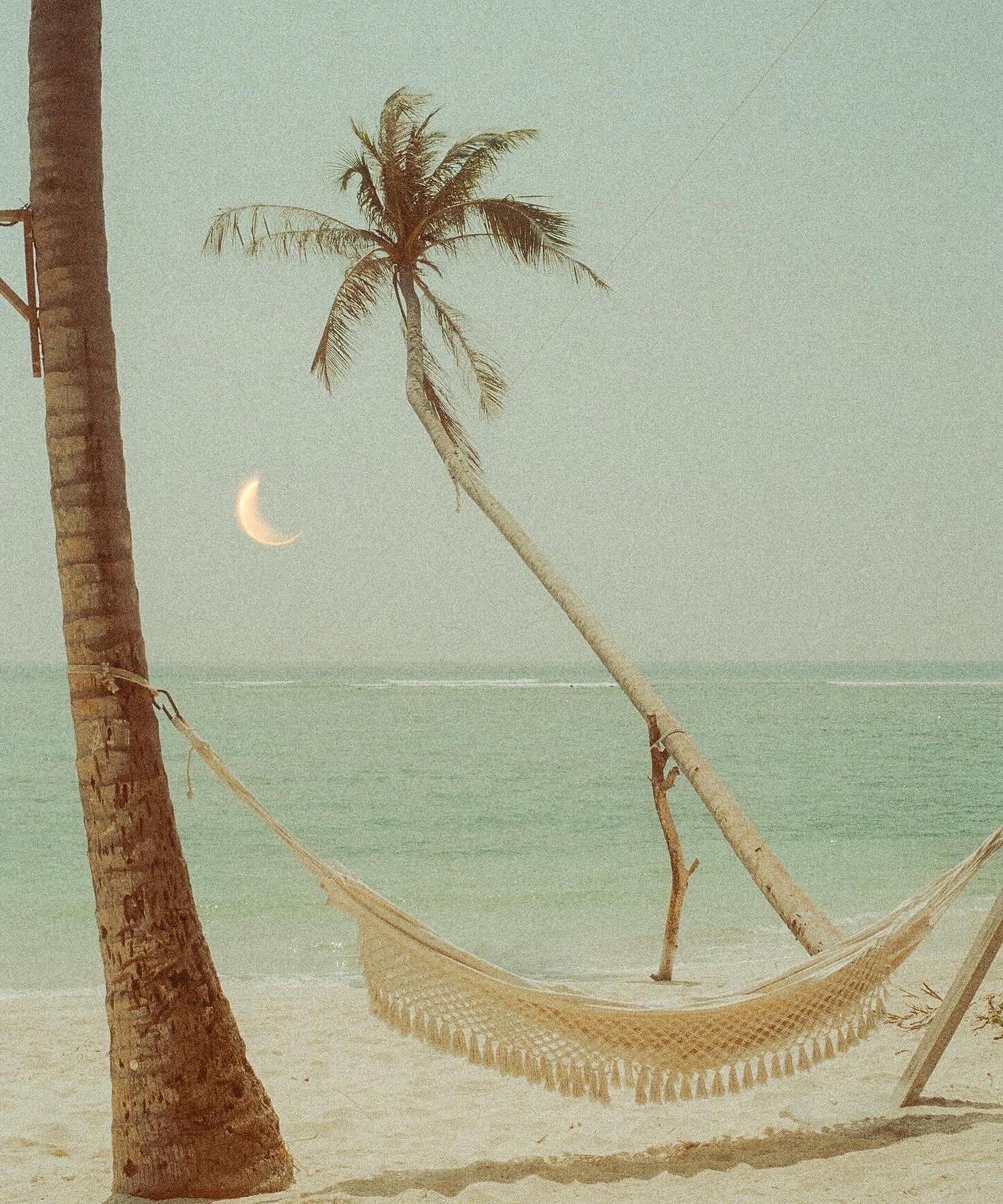 Coco Dream — fine art tropical print by Saxon Kent, Maldives coastal wall art