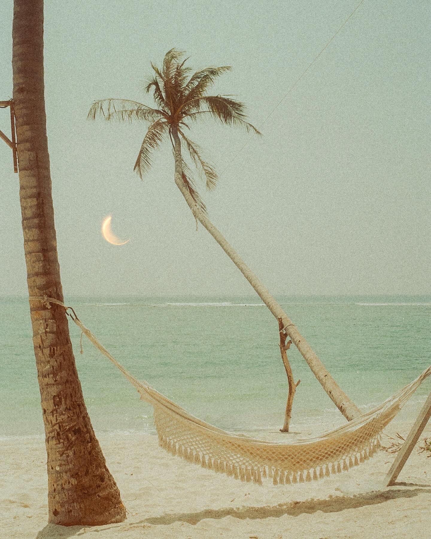Coco Dream — fine art tropical print by Saxon Kent, Maldives coastal wall art