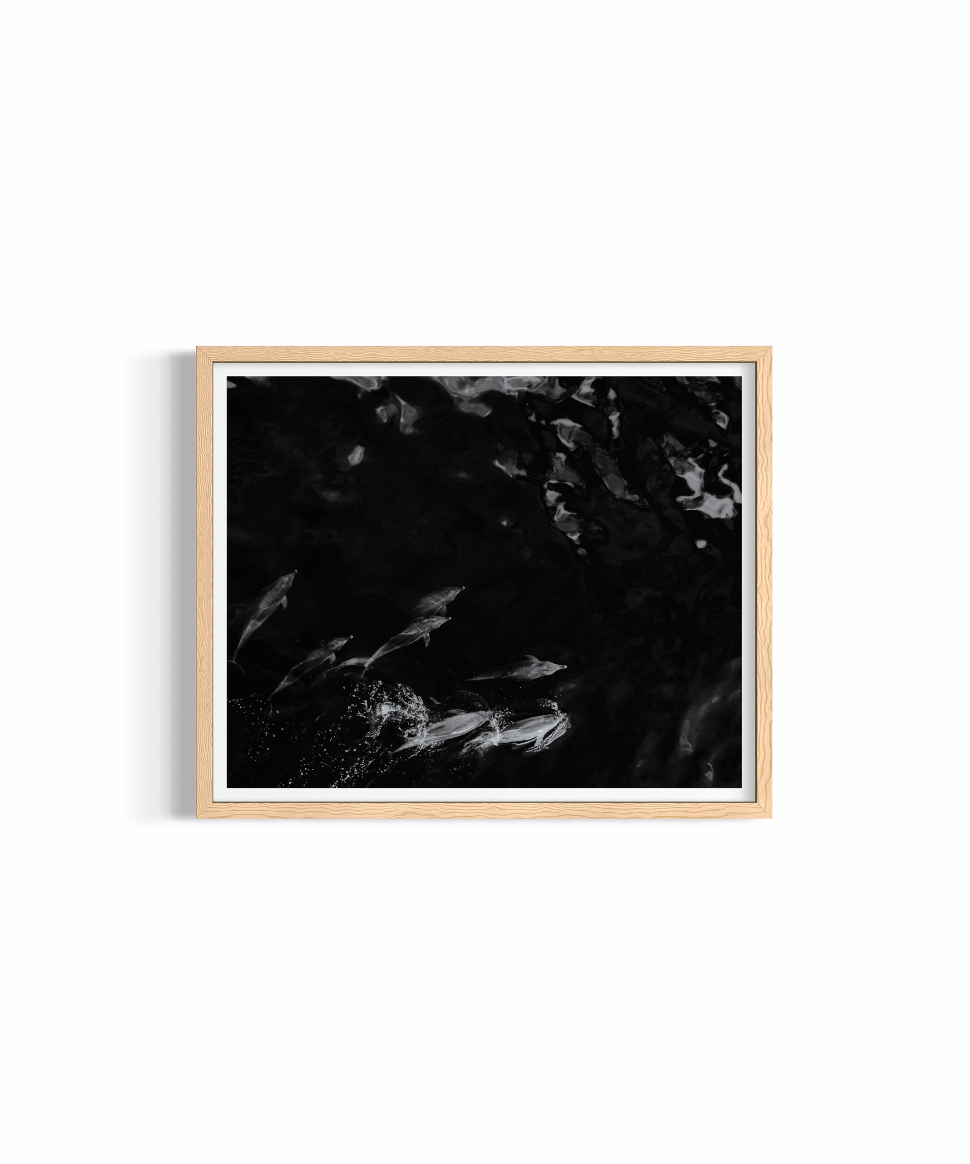 Camouflage — fine art marine wildlife photography by Saxon Kent, Wategos Beach Byron Bay coastal wall art