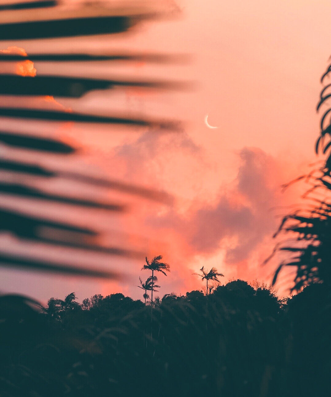 Safe Place — fine art moon and palms print by Saxon Kent, Byron Bay coastal wall art