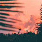 Safe Place — fine art moon and palms print by Saxon Kent, Byron Bay coastal wall art