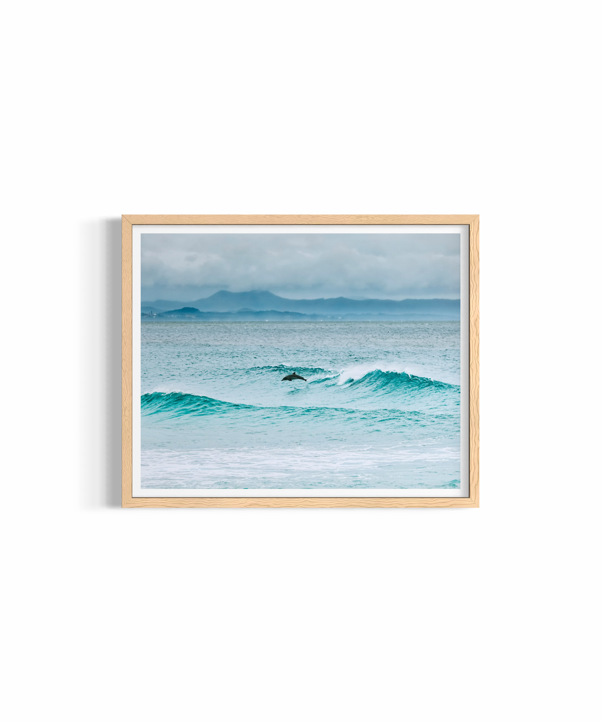 Diving Dolphin — fine art marine wildlife photography by Saxon Kent, Wategos Beach Byron Bay coastal wall art
