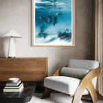 Deep Diving framed print — fine art underwater photography by Saxon Kent, Wategos Beach Byron Bay