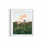 Palm Heaven rolled print — nature photography wall art by Saxon Kent, Byron Bay hinterland