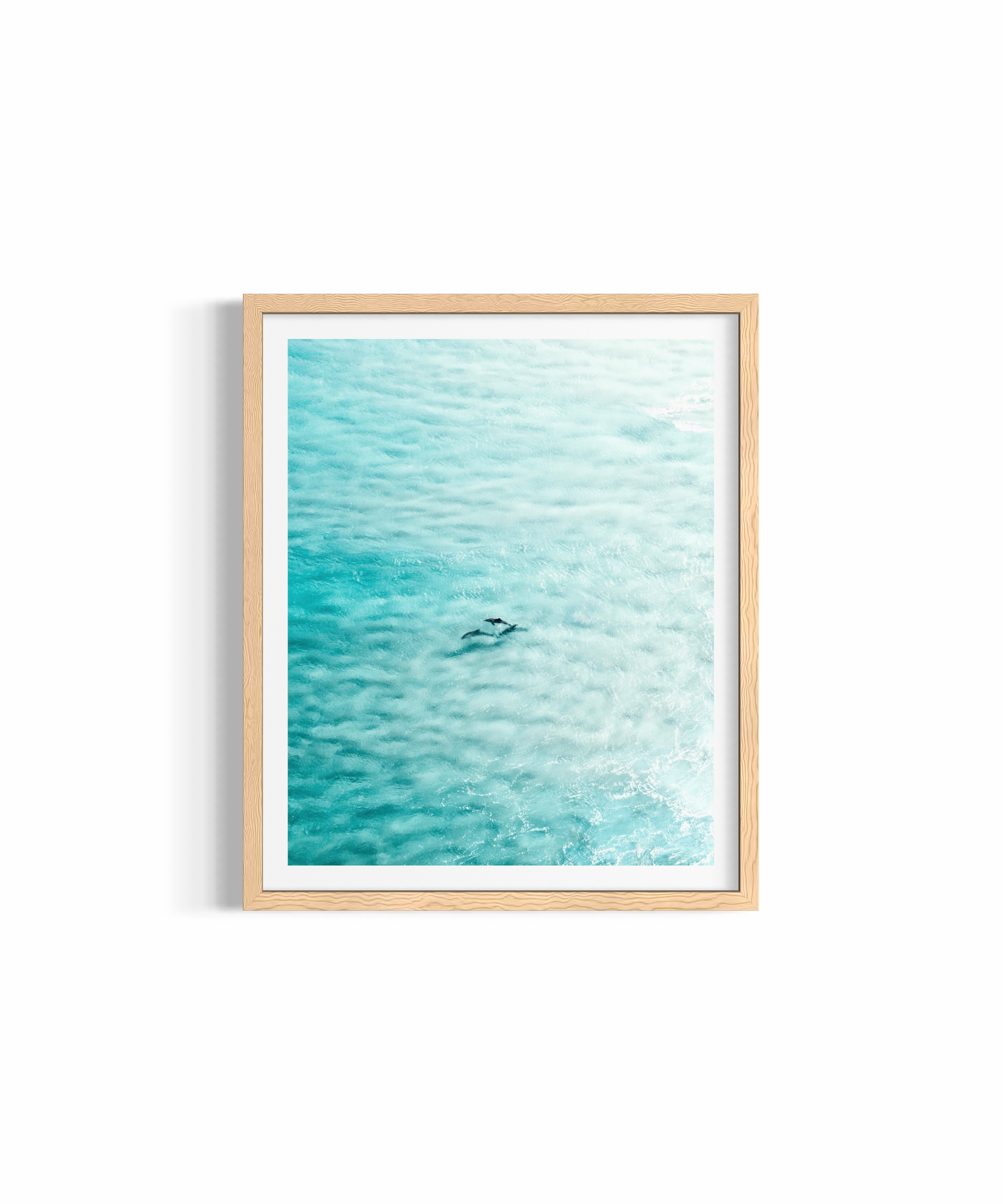 Dolphin Bliss ~ Byron Bay