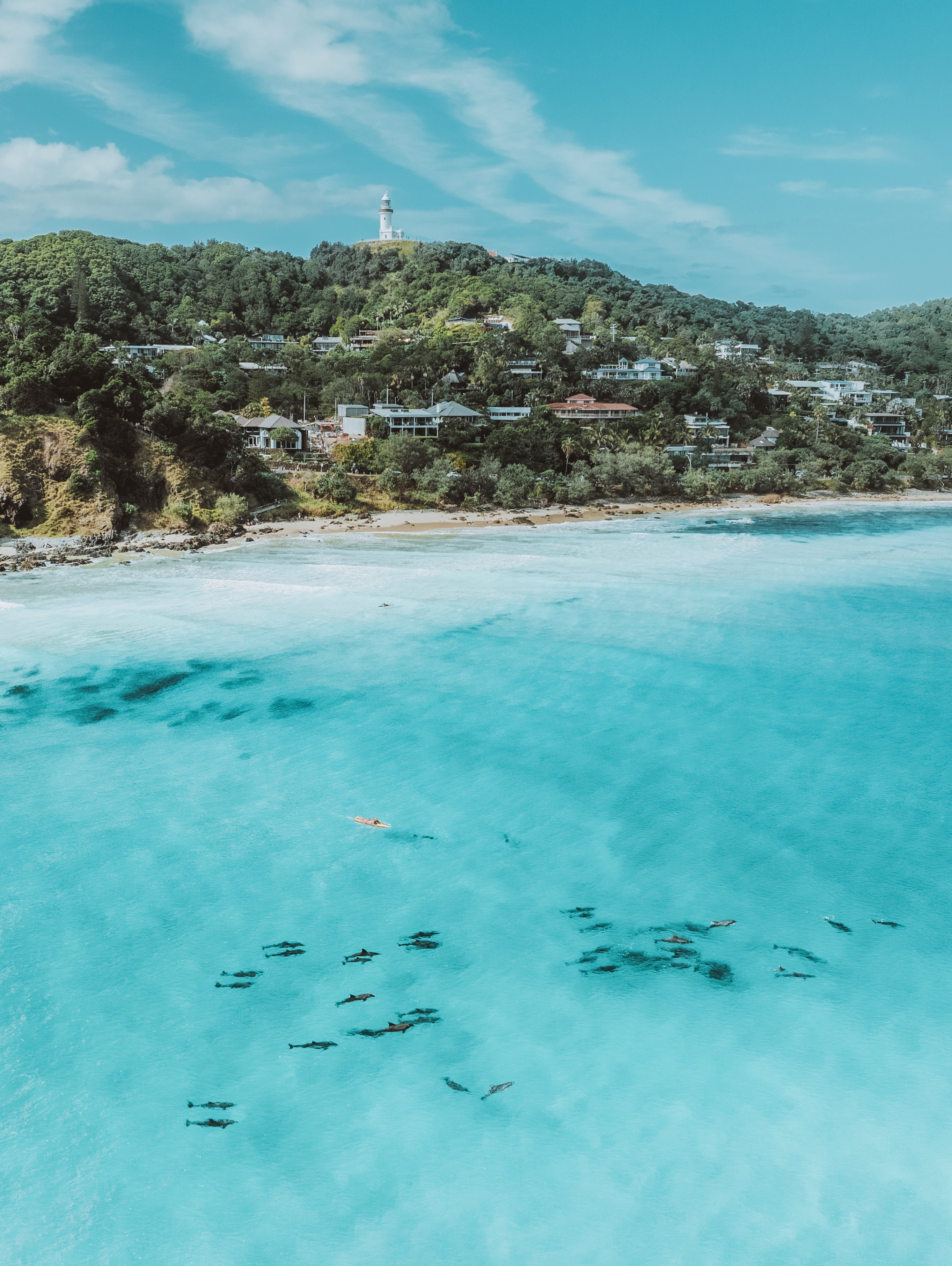 Wategos Dolphins — fine art ocean print by Saxon Kent, Wategos Beach Byron Bay coastal wall art