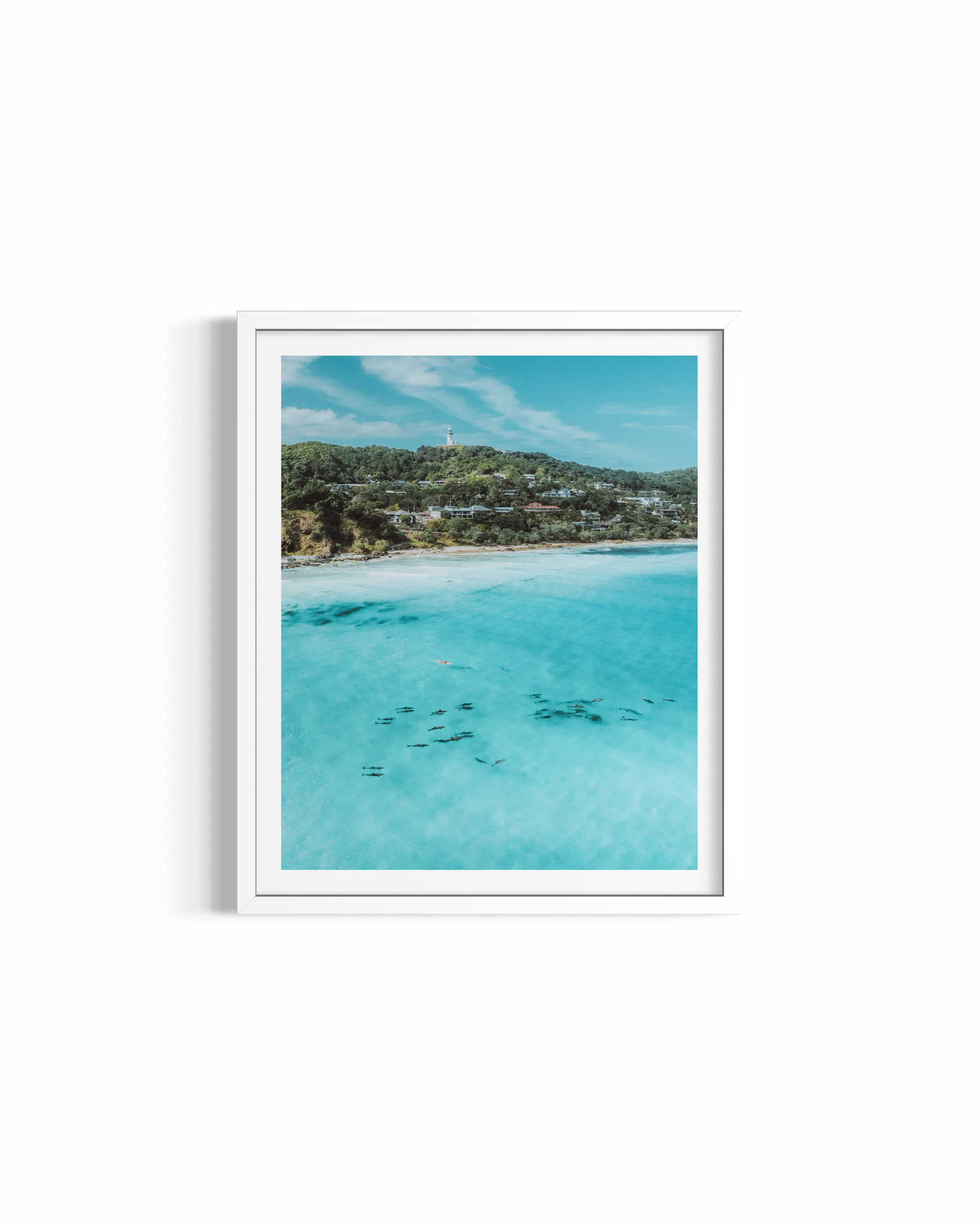 Wategos Dolphins rolled print — dolphin photography wall art by Saxon Kent, Wategos Beach Byron Bay