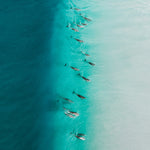 Party Wave — fine art ocean print by Saxon Kent, Wategos Beach Byron Bay dolphin photography