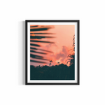 Crescent moon above Byron Bay at twilight with palm silhouettes — Safe Place photography print by Saxon Kent