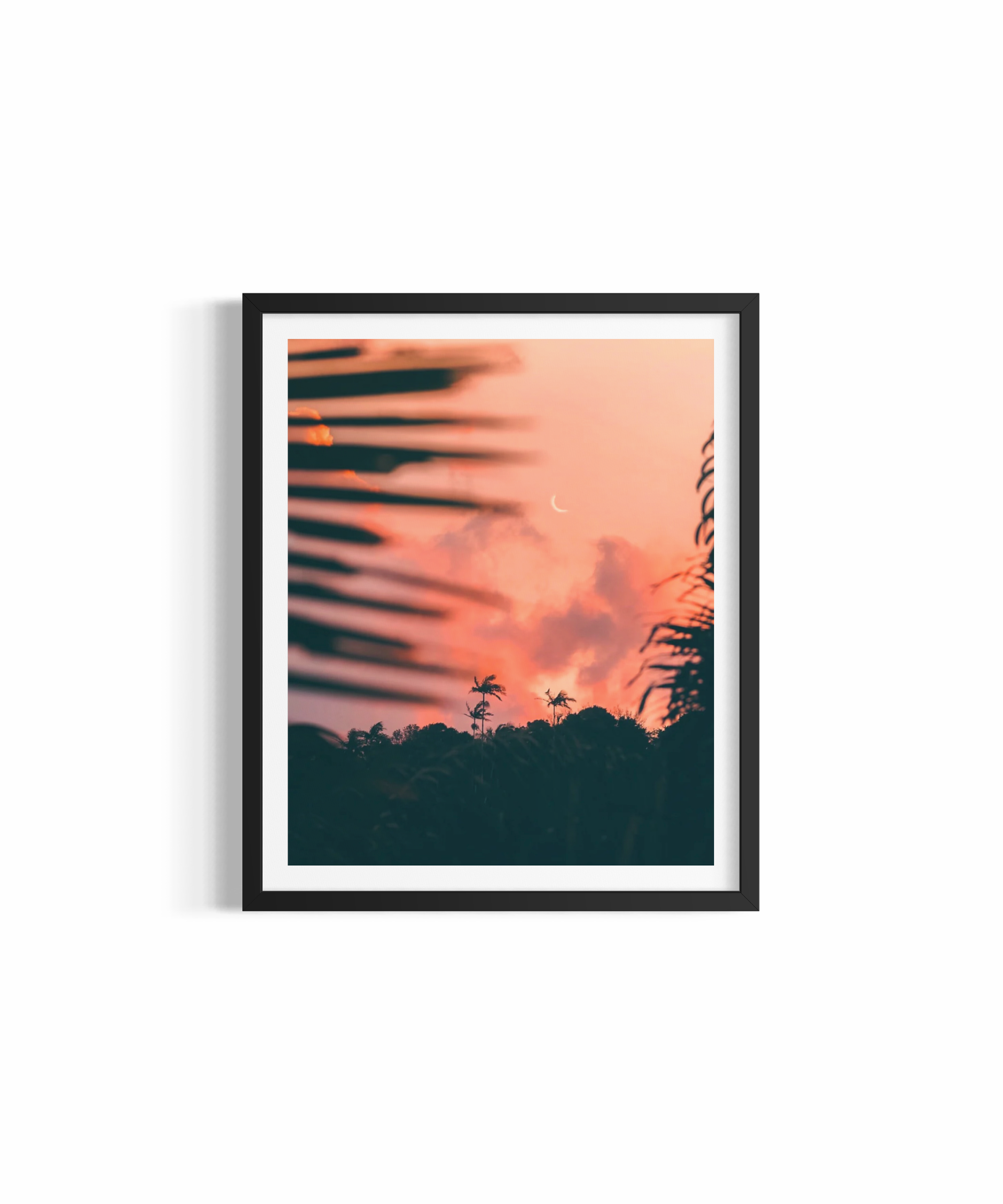 Crescent moon above Byron Bay at twilight with palm silhouettes — Safe Place photography print by Saxon Kent