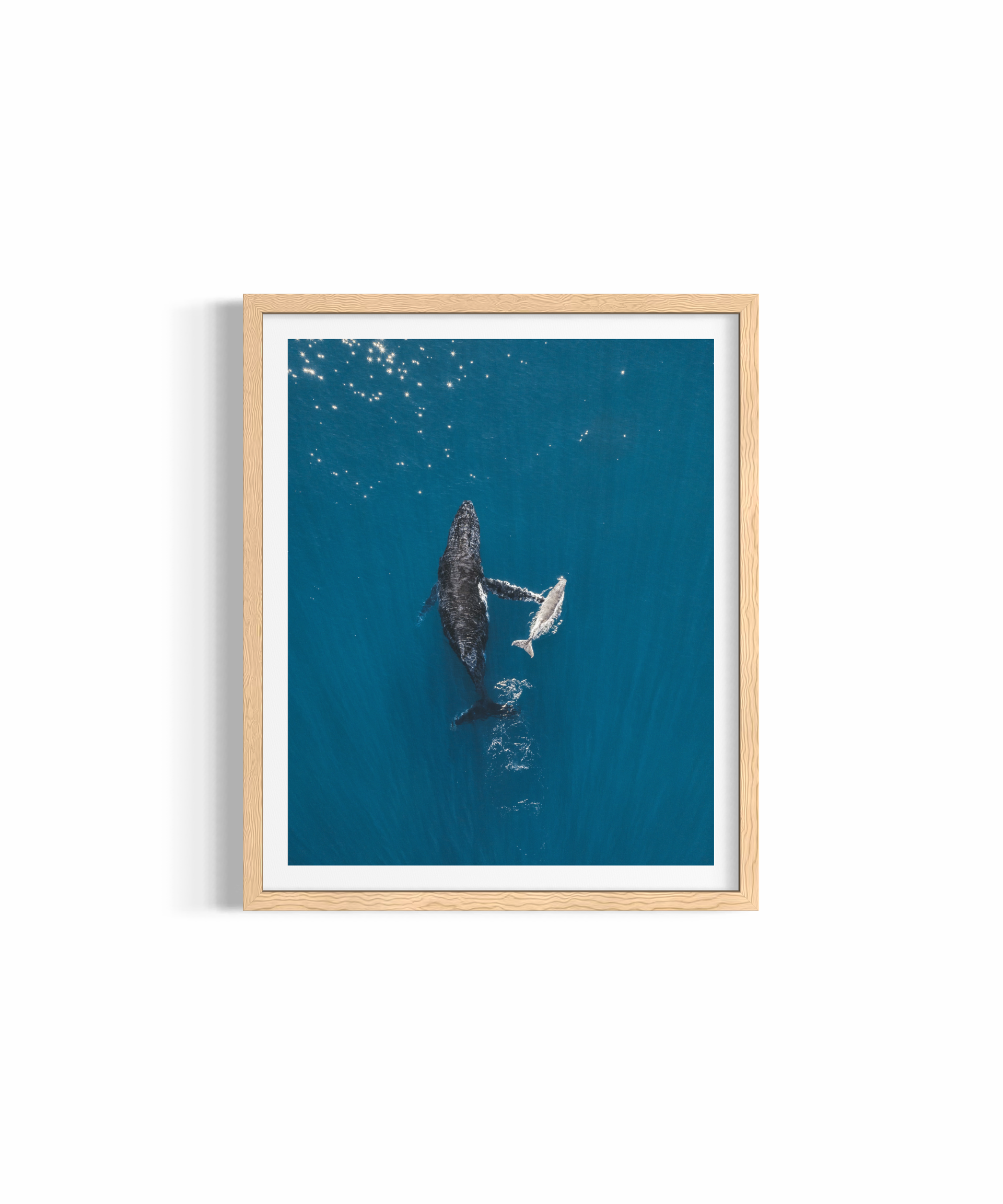 Motherly Love ~ Humpback Whales