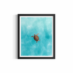 Aerial green sea turtle and surfers at The Pass, Byron Bay — Green Sea Turtle fine art ocean photography print by Saxon Kent