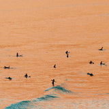 Through the line up ~ The Pass